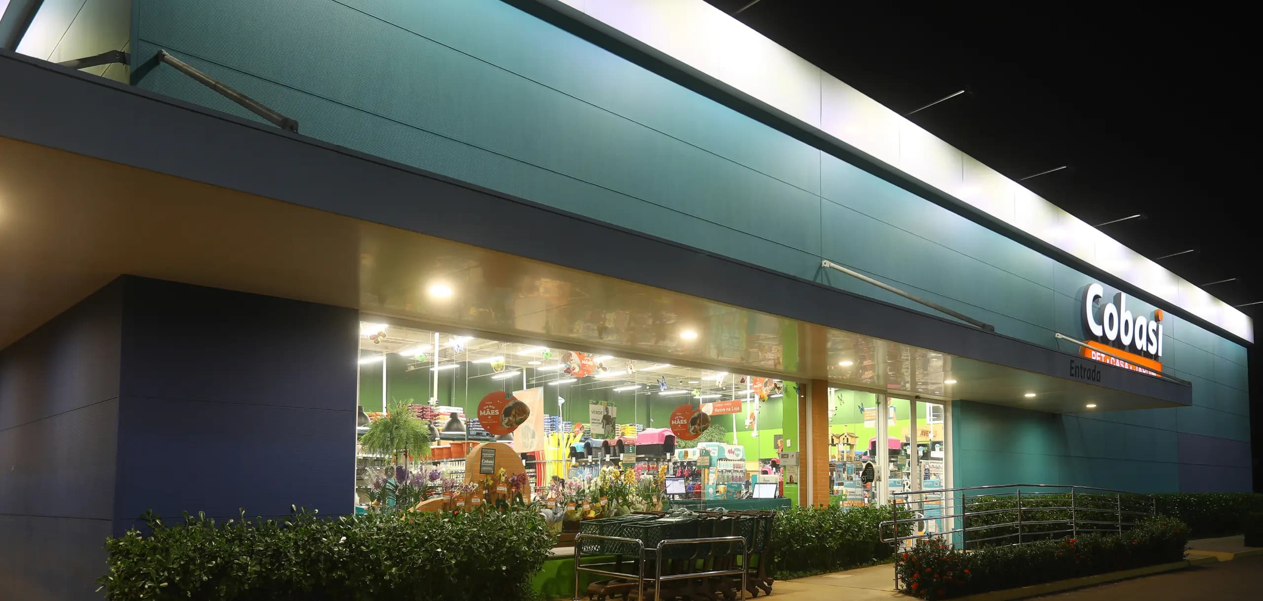 Picture of the author